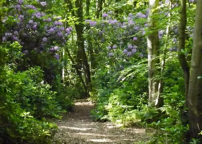 Les Du Mesnil Standard 3*