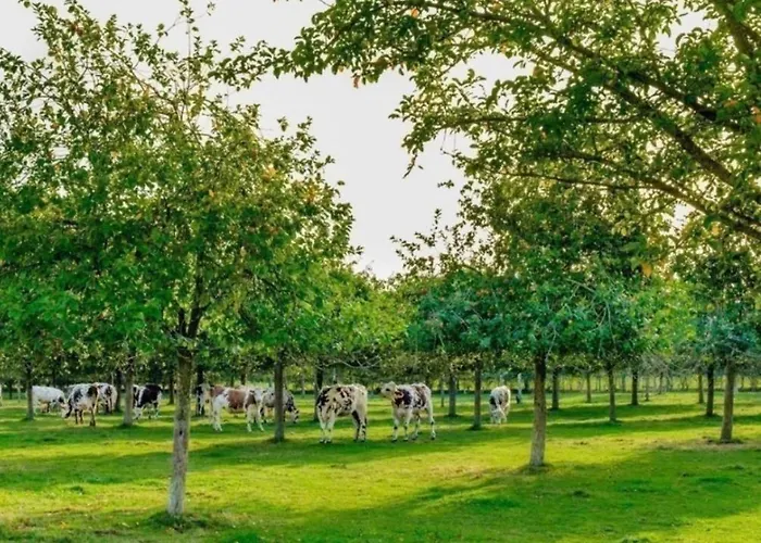 Les Du Mesnil Standard Bed & Breakfast Equemauville