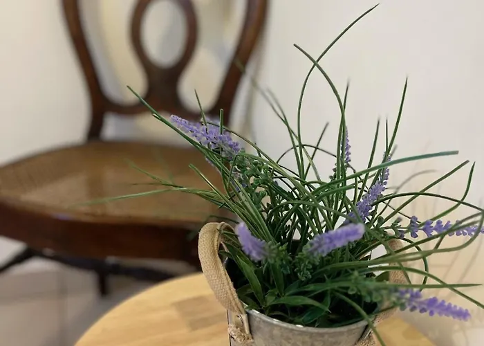 Les Du Mesnil Standard Bed & Breakfast Equemauville